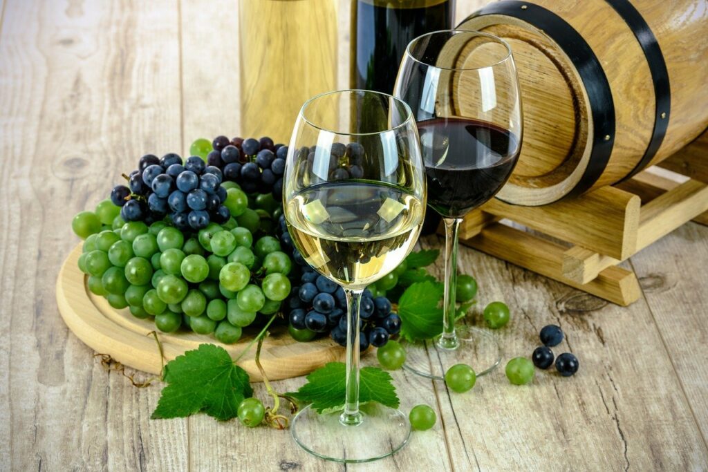 Wein Weintrauben Urlaub Frankreich