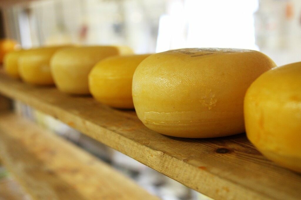 Käse im Regal gelagert Typisch dänischer Käse Tipps für Genießer