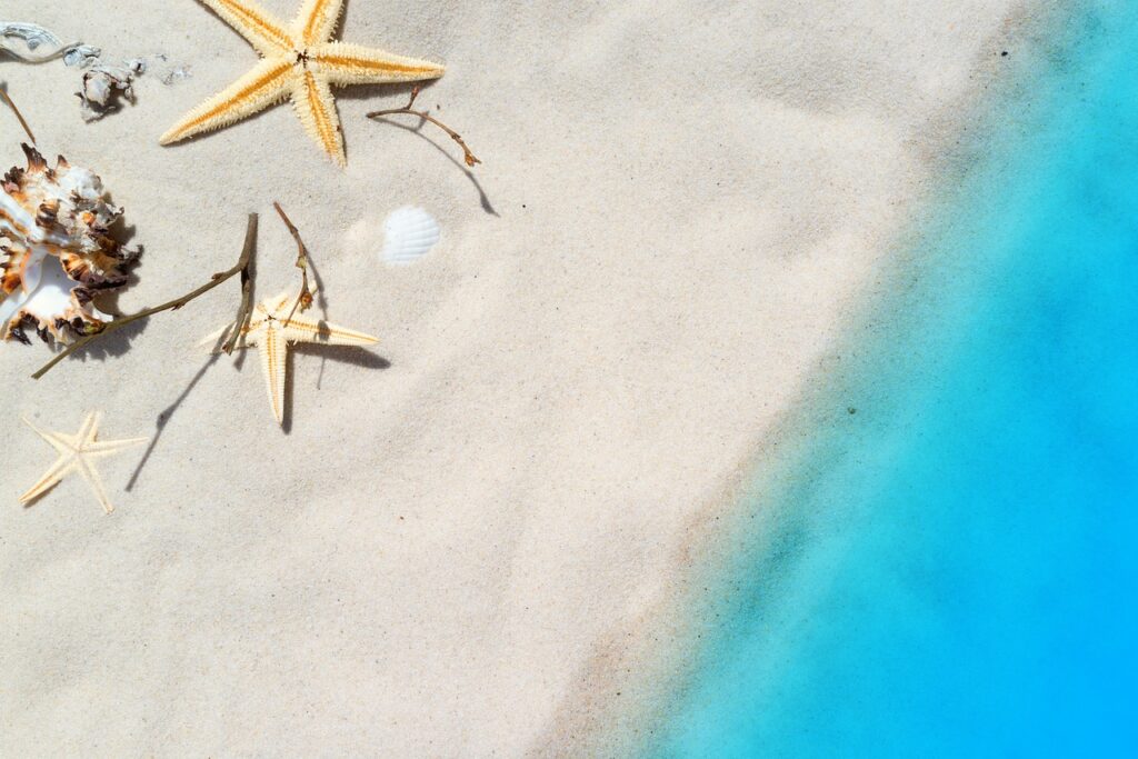 Strand Meer Urlaub Muscheln Urlaub machen Die Vorteile der Erholung