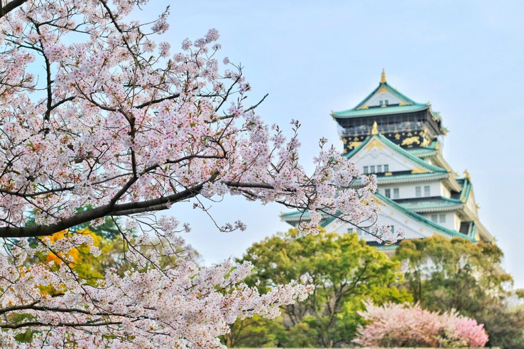 Kischblüten Tempel Japan Japan Reise planen So Japan auf eigene Faust erkunden