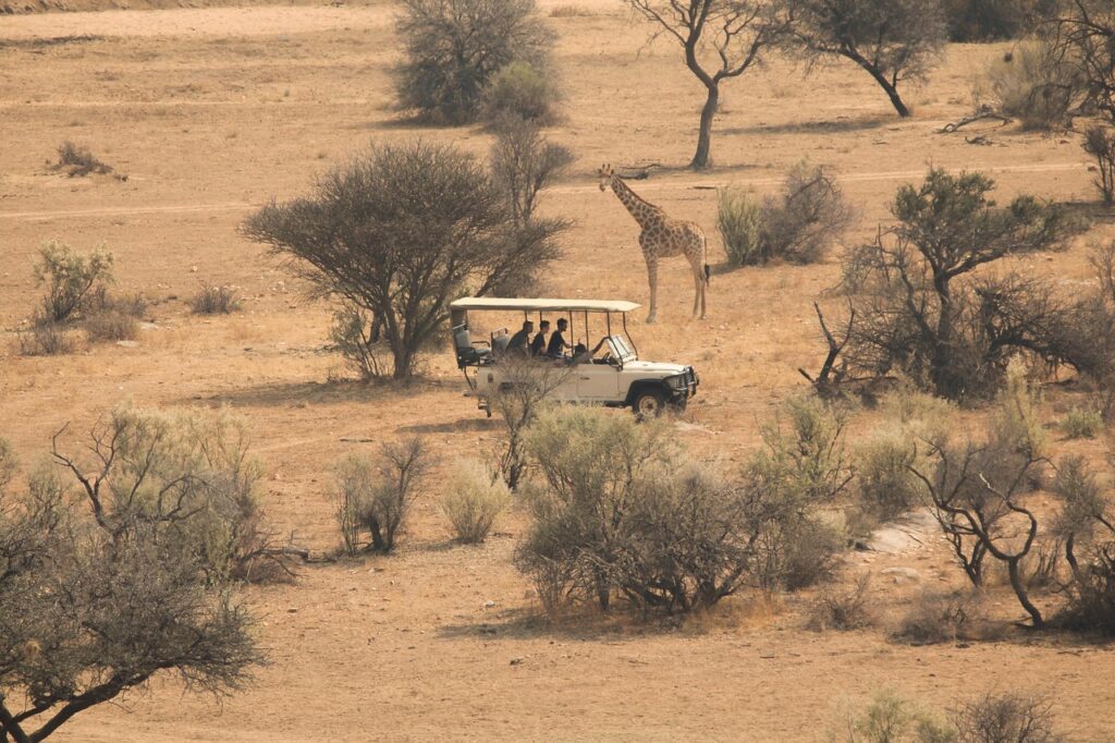 Safari Tour Afrika Safari Ausrüstung Was darf nicht fehlen